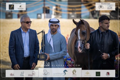 بالصور نتائج اليوم الثالث لبطولة كتارا الدولية “تايتل شو” 2023 لعروض الخيل العربية