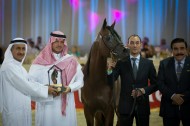 صور متفرقة من أحداث اليوم الثاني لبطولة دبي الدولية للجواد العربي والمعرض لمصاحب والمزاد