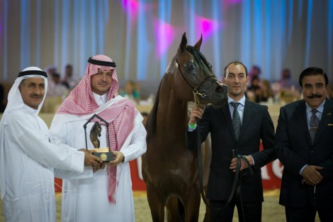 صور متفرقة من أحداث اليوم الثاني لبطولة دبي الدولية للجواد العربي والمعرض لمصاحب والمزاد