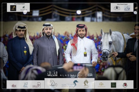 صور مقتطفة من اليوم الختامي من بطولة كتارا الدولية (تايتل شو) ٢٠٢٣ للخيل العربية