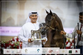 نتائج اليوم الثاني لأبوظبي الدولية للخيل العربية الأصيلة 2023
