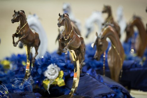 صور متفرقة من اليوم الختامي لبطولة دبي للجواد العربي ٢٠١٣