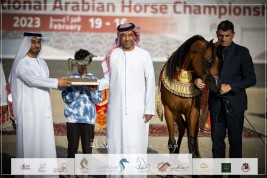 مربط عجمان يتألق بذهبيتين في بطولة أبوظبي الدولية 2023