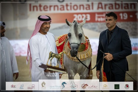 بالصور النتائج النهائية لبطولة ابوظبي الدولية للخيل العربية 2023