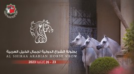 بطولة الشراع الدولية 2023 للخيل العربية الأصيلة تنطلق غداً الخميس – البرنامج