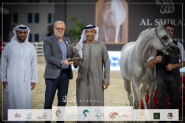 نتائج اليوم الأول لبطولة الشراع الدولية 2023 للخيول العربية
