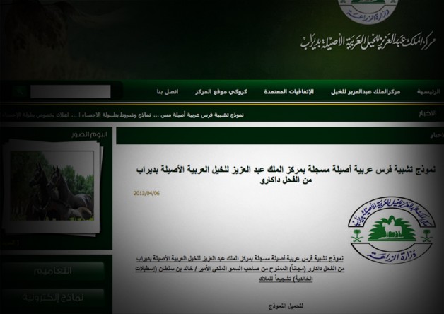 مركز الملك عبدالعزيز بديراب: عدم تجاوب اسطبلات الخالدية سبب التأخير والنماذج تنشر بعد ظهر اليوم