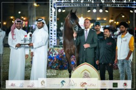الفحل ”لويجي“ يحقق برونز الأفحل لمربط الوجبة بمهرجان سوق واقف 2023