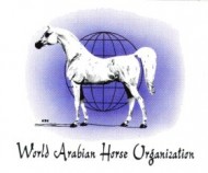 نادي الفروسية بقطر يستضيف مؤتمر “واهو”.. نوفمبر القادم