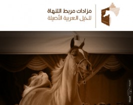 قائمة الخيل المعروضة في مزاد التنهاة الـ ٣١