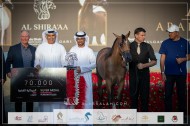 فضية وبرونزية لمربط عجمان في بطولة الشراع الدولية للخيل العربية 2023