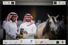 نتائج اليوم الأول للبطولة الوطنية الـ 12 للخيل العربية 2023