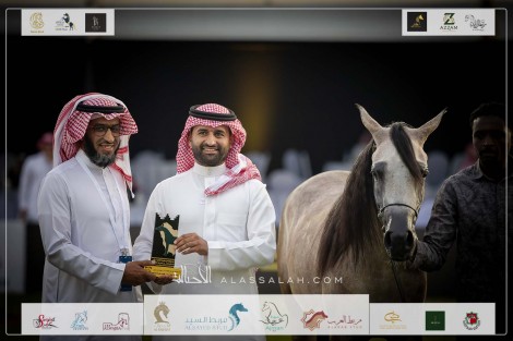 نتائج اليوم الأول للبطولة الوطنية الـ 12 للخيل العربية 2023