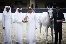 نتائج اليوم الأول لمهرجان الشارقة الـ ٢٤ الدولي للجواد العربي