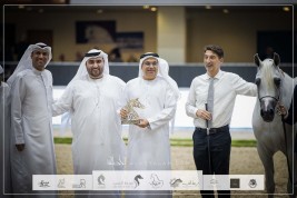 صور مقتطفة من اليوم الأول لمهرجان الشارقة الـ ٢٤ الدولي للجواد العربي