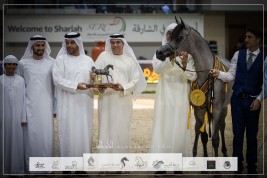 بالصور النتائج النهائية لمهرجان الشارقة الدولي الـ 24  للجواد العربي 2023