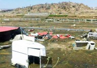 الأمطار تتسبب بأضرار جسيمة لأحد مرابط الخيل العربية في المملكة