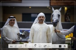 3 القاب ذهبية وفضية وبرونزيتان لمربط دبي في ختام مهرجان الشارقة الدولي للجواد العربي