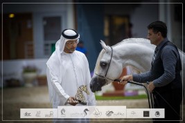 صور مقتطفة من اليوم الثاني واليوم الختامي لمهرجان الشارقة الـ ٢٤ الدولي للجواد العربي