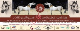 بطولة الأحساء الوطنية الرابعة لجمال الخيل العربية الأصيلة