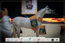 بالصور النتائج النهائية لبطولة العرب لمربي الخيل العربية 2023