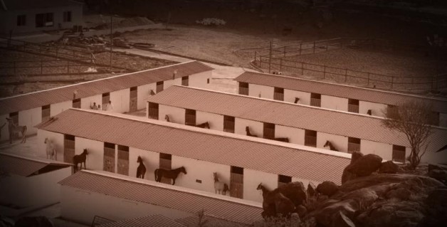 كي لا تتكرر المأساة..!