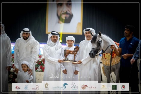 بالصور النتائج النهائية لبطولة الإمارات لمربي الخيل العربية للمرابط الخاصة