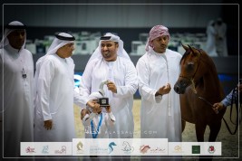 نتائج اليوم الأول لبطولة دبي ٢٠٢٣ الدوليّة للجواد العربي 