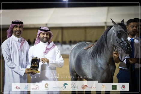 صور مقتطفة من لليوم الثاني من بطولة طرفة ٢٠٢٣ للخيل العربية