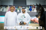 صور مقتطفة لليوم الثاني من بطولة دبي الدولية ٢٠٢٣ للجواد العربي