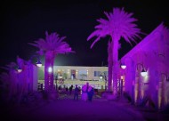 مزاد النجوم “للخيل السعودية” ينجح بتحقيق مليون ريال من المبيعات 