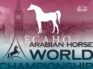 الايكاهو تستحدث تصنيف جديد لبطولة العالم .!