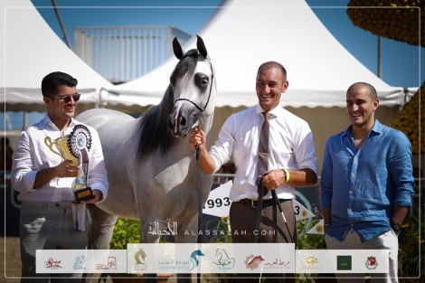 نتائج اليوم الأول لبطولة منتون الدولية للخيل العربية 2023