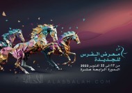 معرض “الفرس للجديدة” ينطلق في أكتوبر المقبل بشعار “الفروسية والتنمية المستدامة”