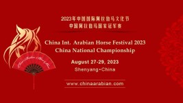 مهرجان الصين الدولي للجواد العربي: إشراف إماراتي ومشاركة عالمية في شنيانج!