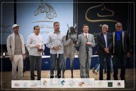 صور مقتطفة من اليوم الأول لبطولة كأس كل الأمم آخن ٢٠٢٣ للخيل العربية