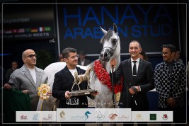 “نوره الخالدية” تهدي مربط أكمل ذهبية المهرات في بطولة كل الأمم 2023