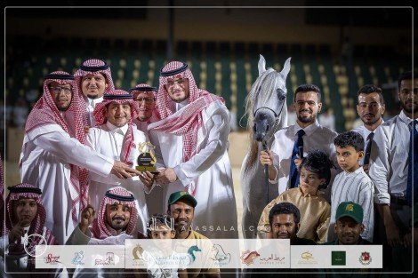 صور مقتطفة لليوم الرابع من بطولة الانتاج المحلي ٢٠٢٣ للخيل العربية