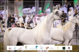 النتائج النهائية بالصور لبطولة العالم 2023 للخيل العربية السلالة المصرية بالرياض