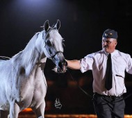 قائمة مزاد فخر بولندا العالمي السنوي للخيول العربية الأصيلة ٢٠١٣