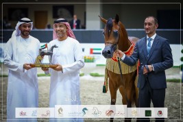 خيول مربط «عجمان» تتألق بذهبية وفضية وبرونزية في مهرجان الشارقة – الإنتاج المحلي 2023