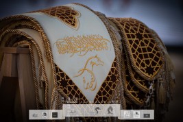 عدد 345 من الخيل العربية تتنافس في بطولة الفجيرة الدولية 2023 في نسختها الثامنة