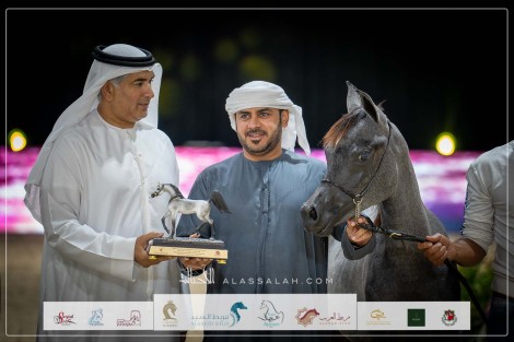 نتائج اليوم الأول باالصور للبطولة الوطنية لجمعية الإمارات للخيول العربية 2023 – بطولة المرابط الخاصة