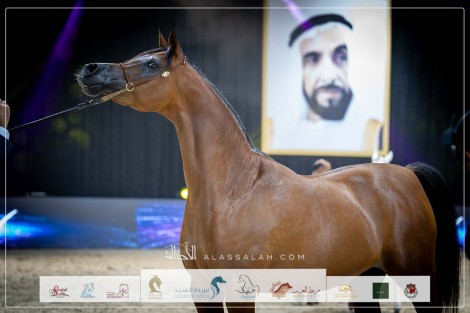 صور مقتطفة من اليوم الثاني للبطولة الوطنية لجمعية الإمارات٢٠٢٣