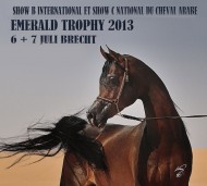نتائج بطولة كأس ايمرالد الدولية ٢٠١٣ لجمال الخيل العربية الأصيلة ببلجيكا