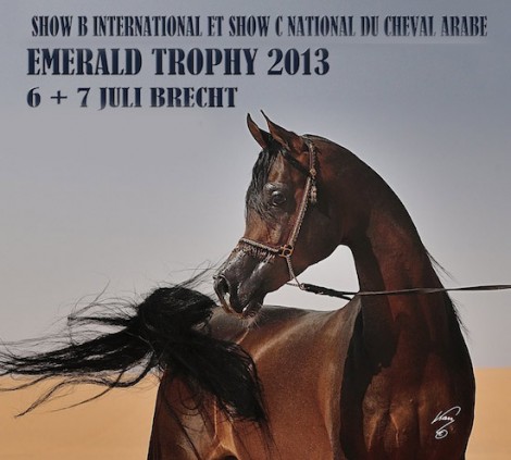نتائج بطولة كأس ايمرالد الدولية ٢٠١٣ لجمال الخيل العربية الأصيلة ببلجيكا