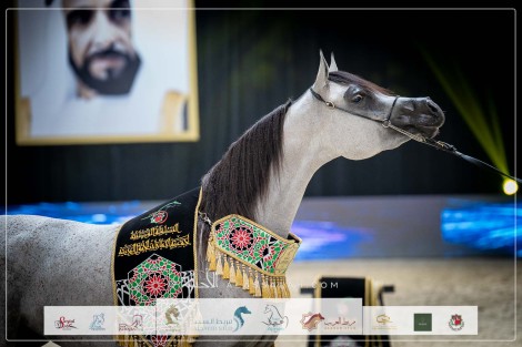 صور مقتطفة من اليوم الختامي للبطولة الوطنية لجمعية الإمارات٢٠٢٣