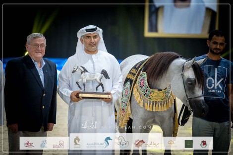 النتائج النهائية بالصور للبطولة الوطنية لجمعية الإمارات للخيول العربية للمرابط الخاصة 2023
