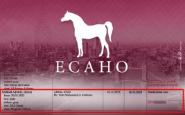 «سراب أجمل» يشارك في بطولة “عبية 2023” رغم إيقافه من قبل الايكاهو.!