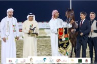 بذهبية وثلاث فضيات من الألقاب يتألق مربط دبي في مهرجان الشارقة كلباء الخامس للجواد العربي 2023